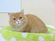 DSCF9573[1]_thumb.png